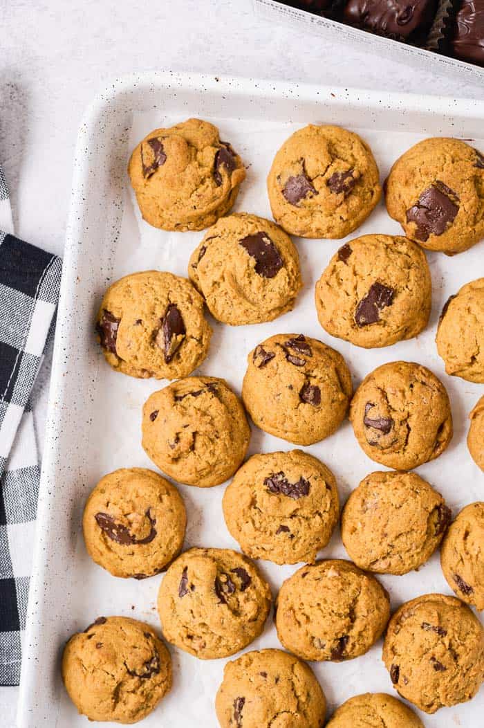 Chocolate Peanut Butter Pumpkin Cookies