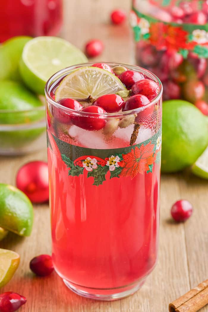 Spiced Cranberry Wine Spritzer