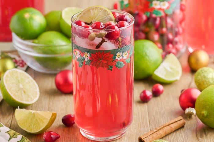 Spiced Cranberry Wine Spritzer