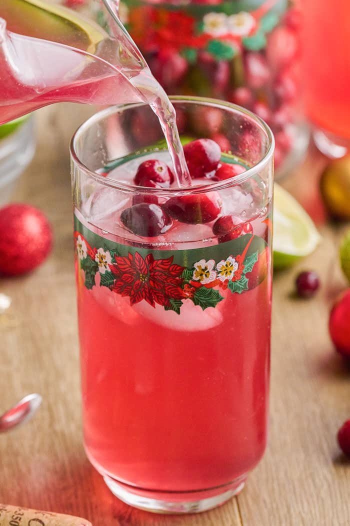 Spiced Cranberry Wine Spritzer