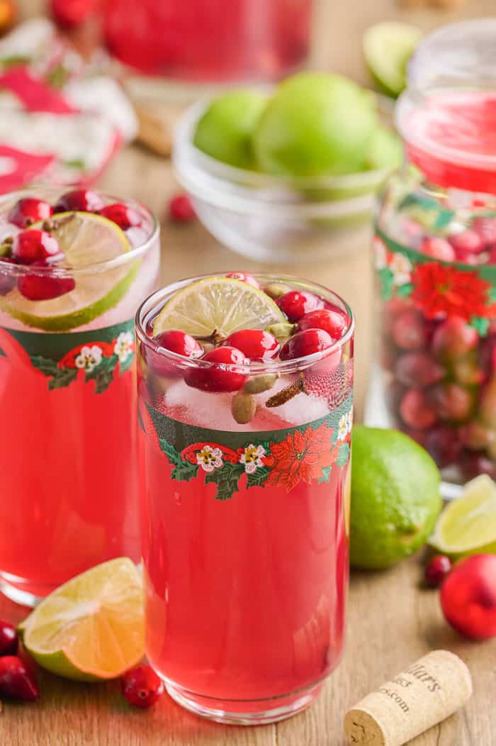 Spiced Cranberry Wine Spritzer