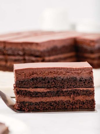 Dark Chocolate Mocha Mousse Cake