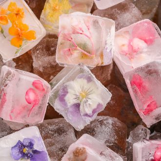 Edible Flower Ice Cubes