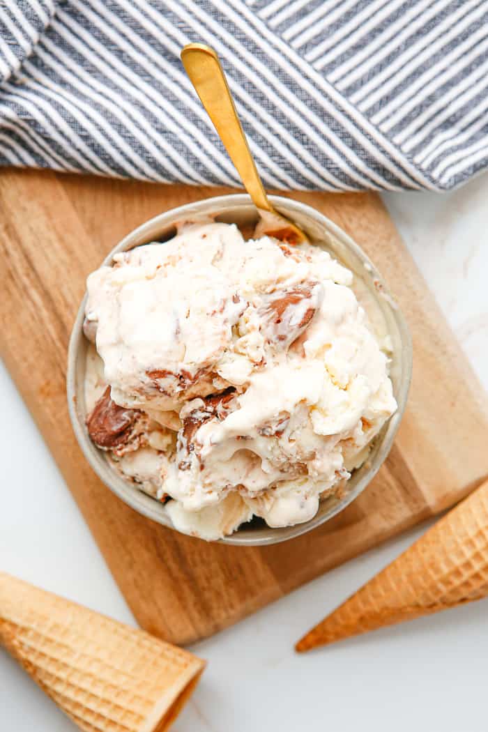 No Churn Nutella Swirl Ice Cream