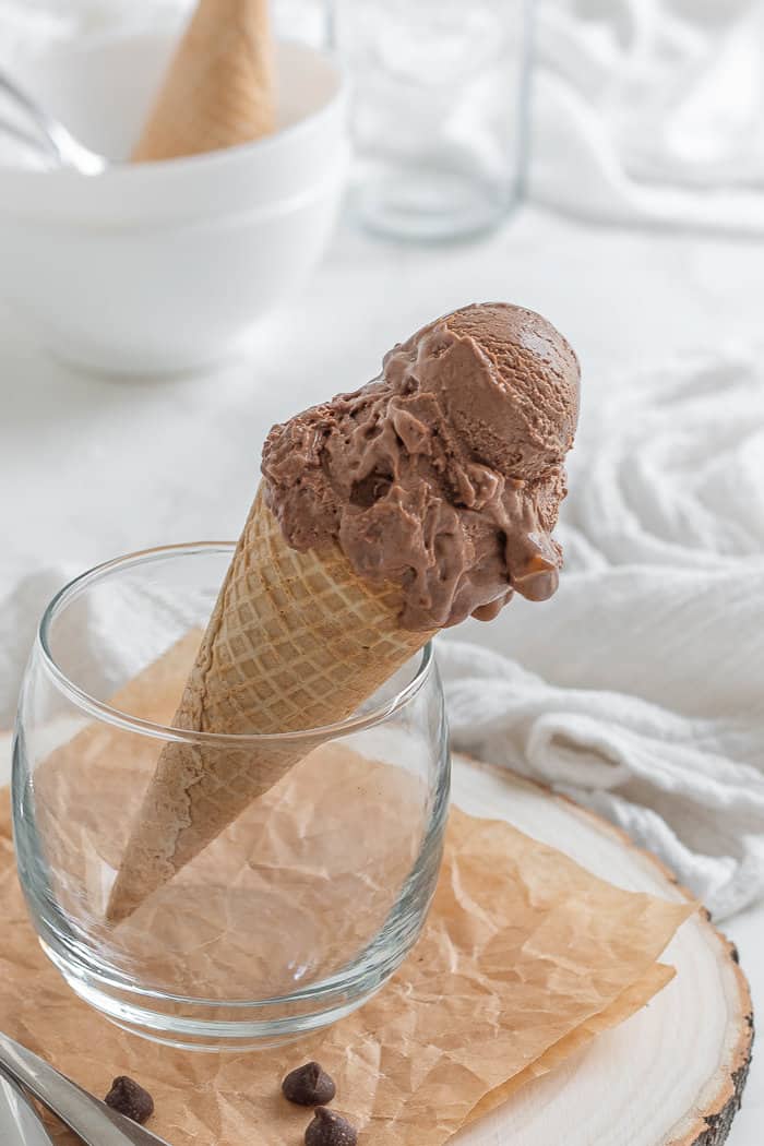 Chocolate Peanut Butter Ice Cream