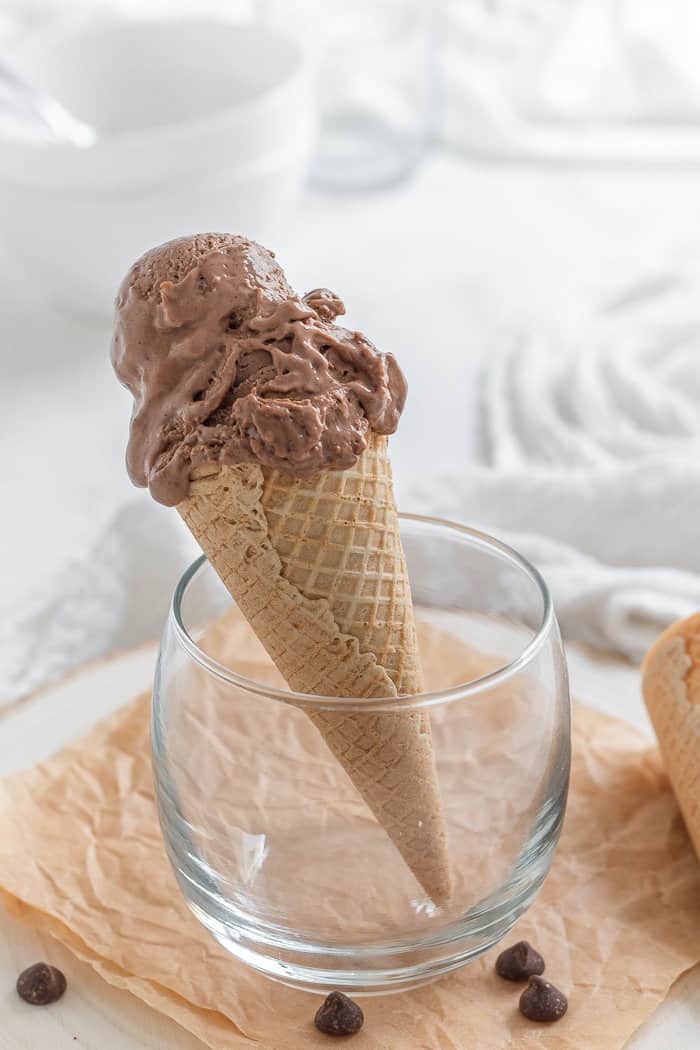 Chocolate Peanut Butter Ice Cream