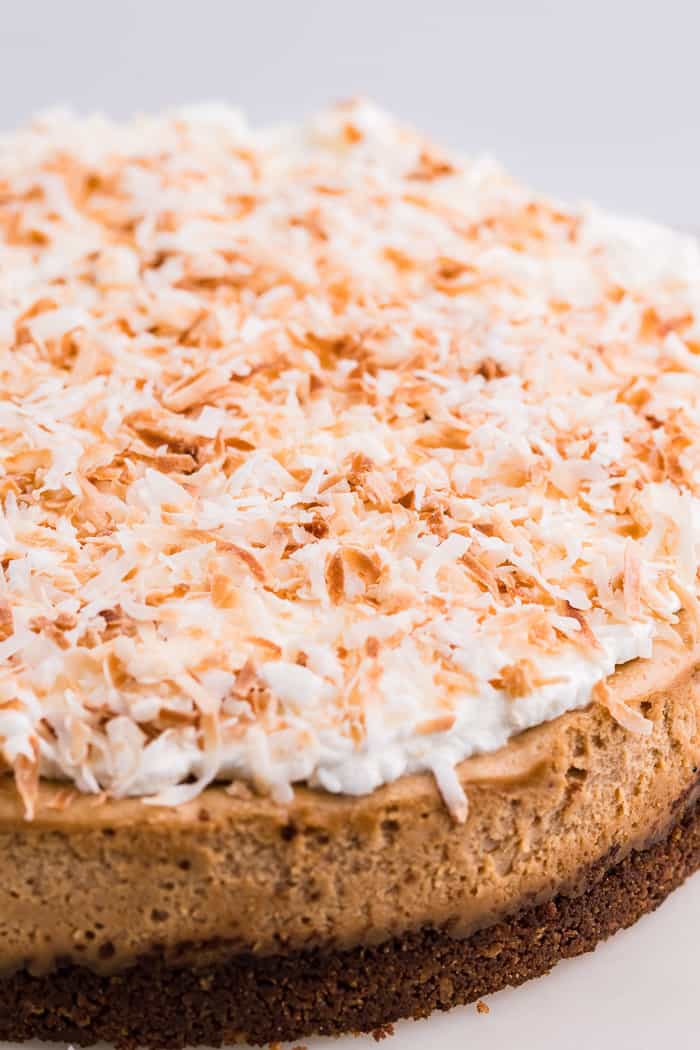 Coconut Cheesecake Recipe