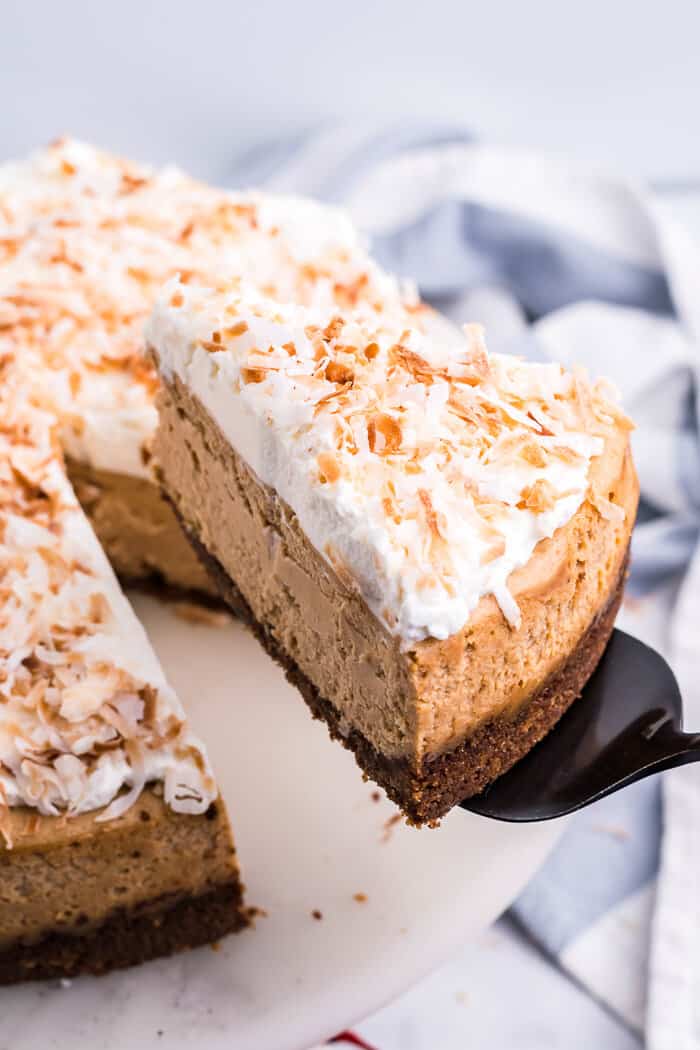 Coconut Cheesecake Recipe