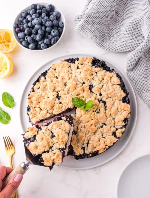 A slice of blueberry crumb bars.