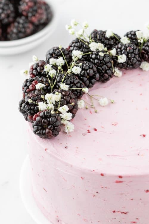 Blackberry Layer Cake - A Classic Twist