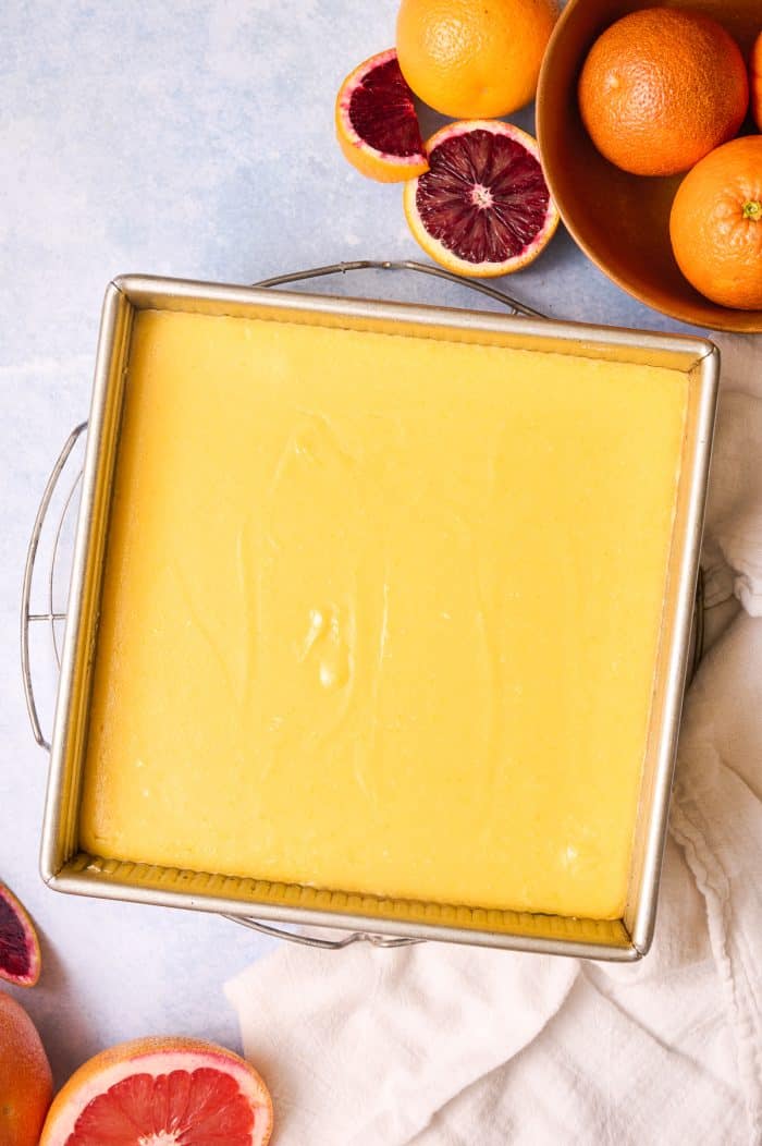 Grapefruit Bars A Classic Twist
