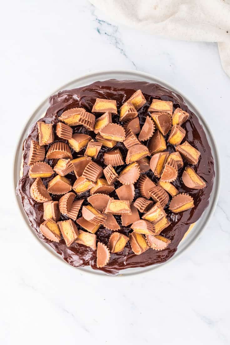 Reese’s Peanut Butter Cheesecake with Brownie Crust A Classic Twist