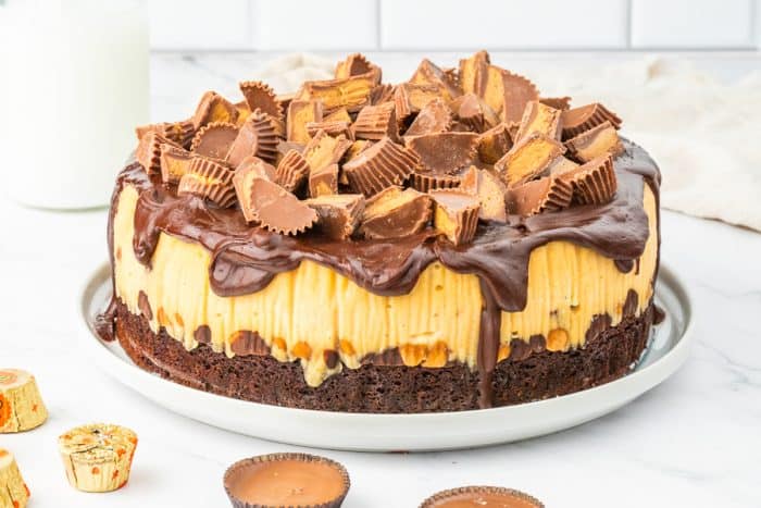 Reese's Peanut Butter Cheesecake on a plate with a white background.