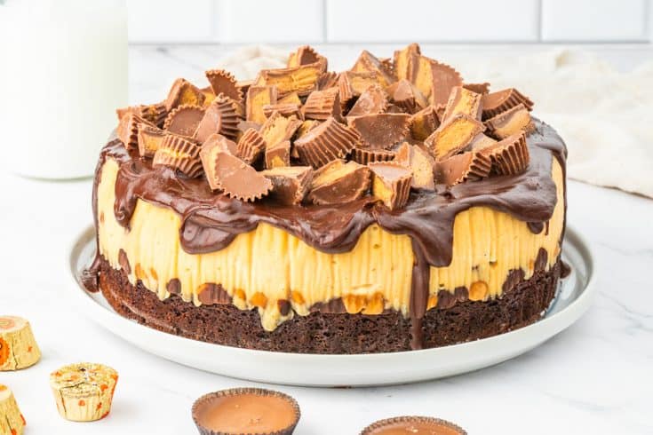 Reese’s Peanut Butter Cheesecake with Brownie Crust - A Classic Twist