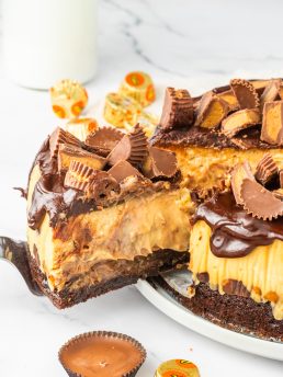 Reese's Peanut Butter Cheesecake with a slice being removed with a white background.