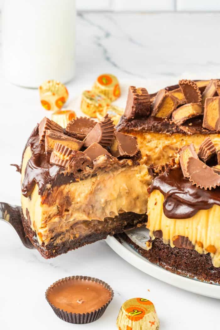 Reese's Peanut Butter Cheesecake with a slice being removed  with a white background.