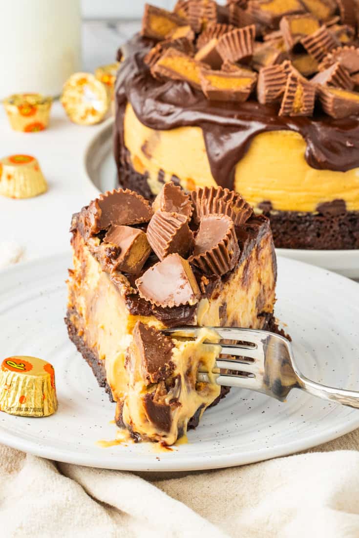 Reese’s Peanut Butter Cheesecake with Brownie Crust A Classic Twist