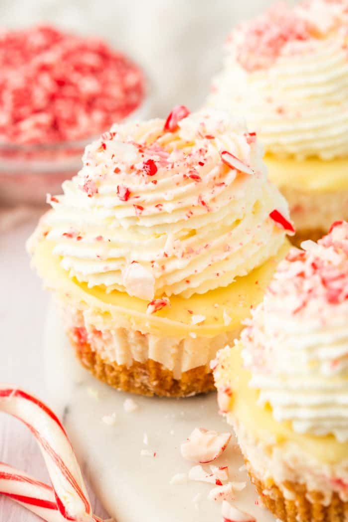 A few mini peppermint cheesecakes on a plate with candy canes in the background.