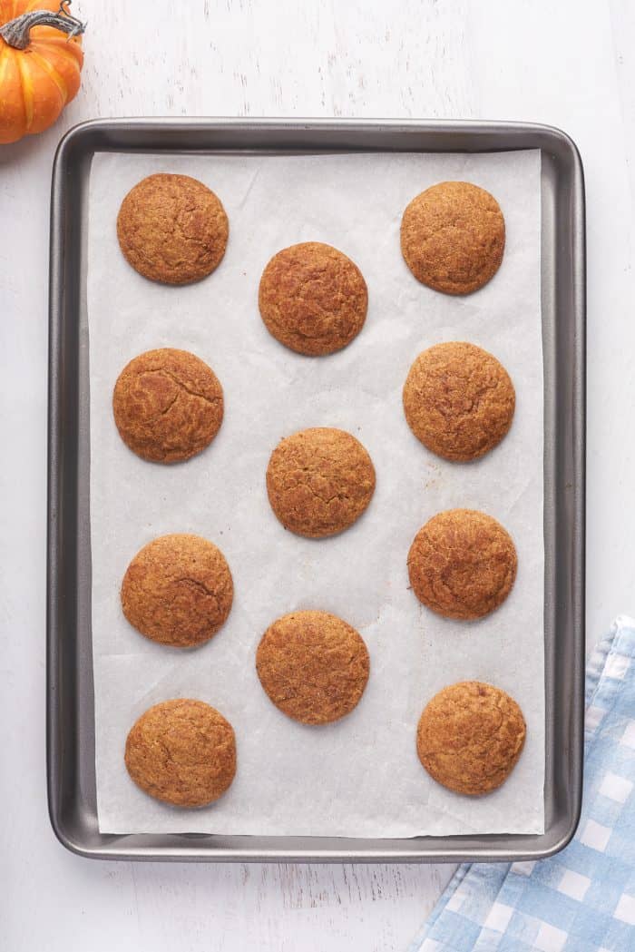 A baking sheet with parchment paper with baked snickerdoodle cookies.