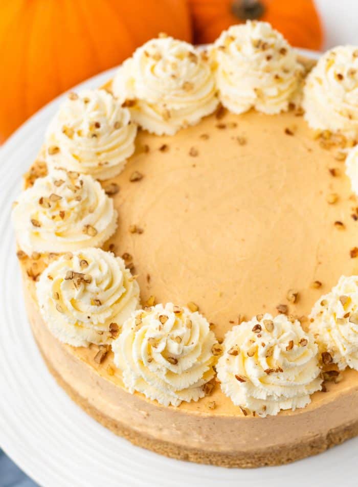 An overhead image of the no bake pumpkin cheesecake garnished with whipping cream.