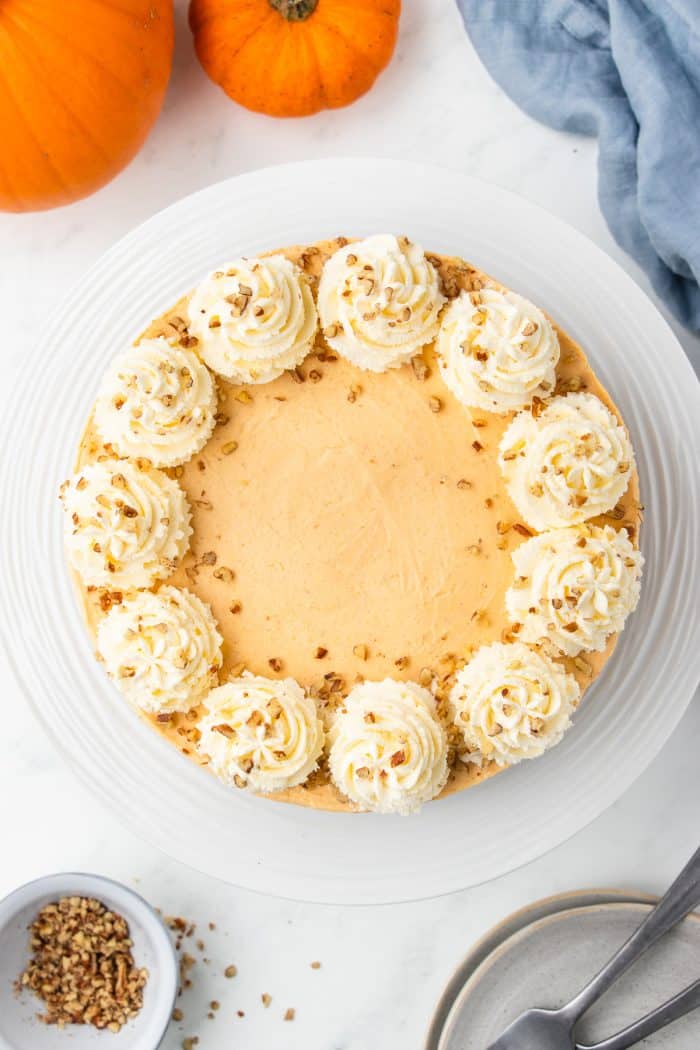 An overhead image of the no bake pumpkin cheesecake garnished with whipping cream.