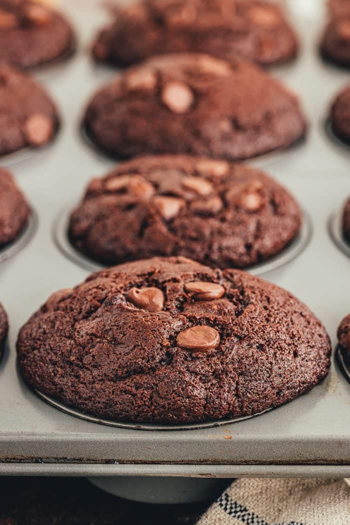 A close up of double chocolate muffins in a muffin tray.