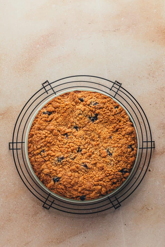 A freshly baked blueberry sour cream coffee cake on a cooling rack.