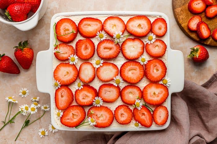 A white baking tray with strawberry tiramisu and fresh strawberries scattered around it. 