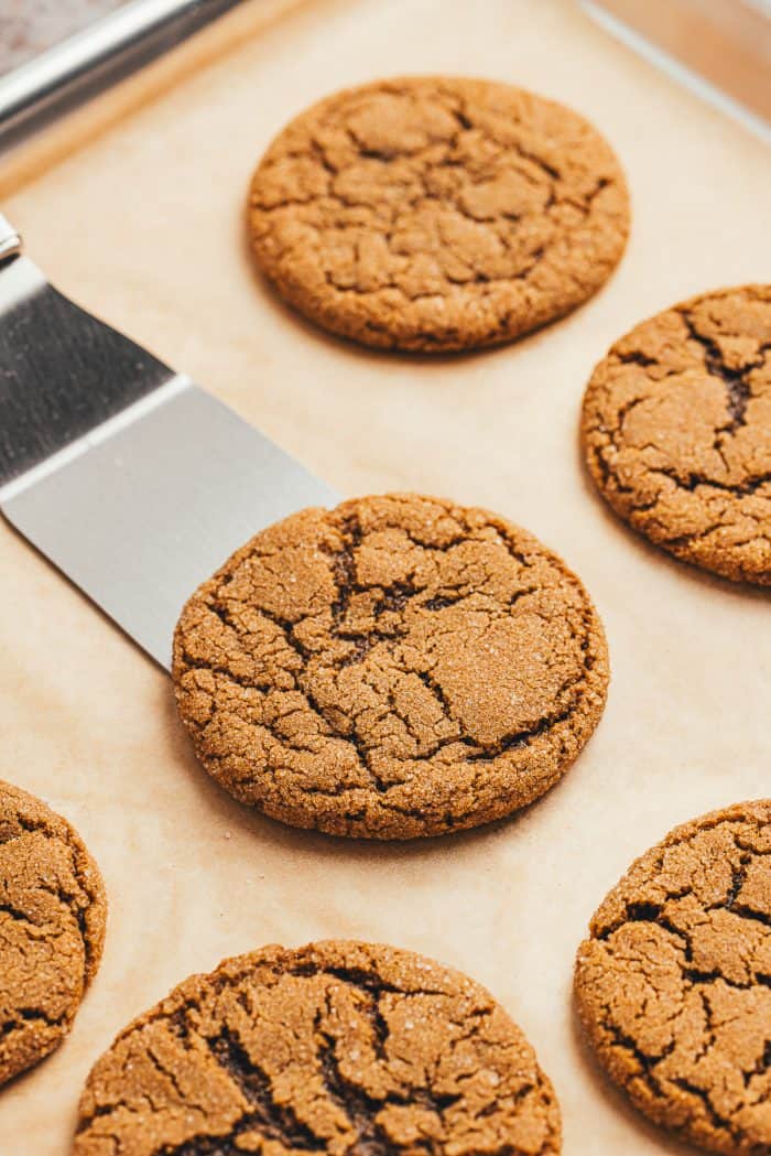 A baking tray with parchment paper and baked double ginger molasses cookies and spatula lifting the cookie off of the tray.