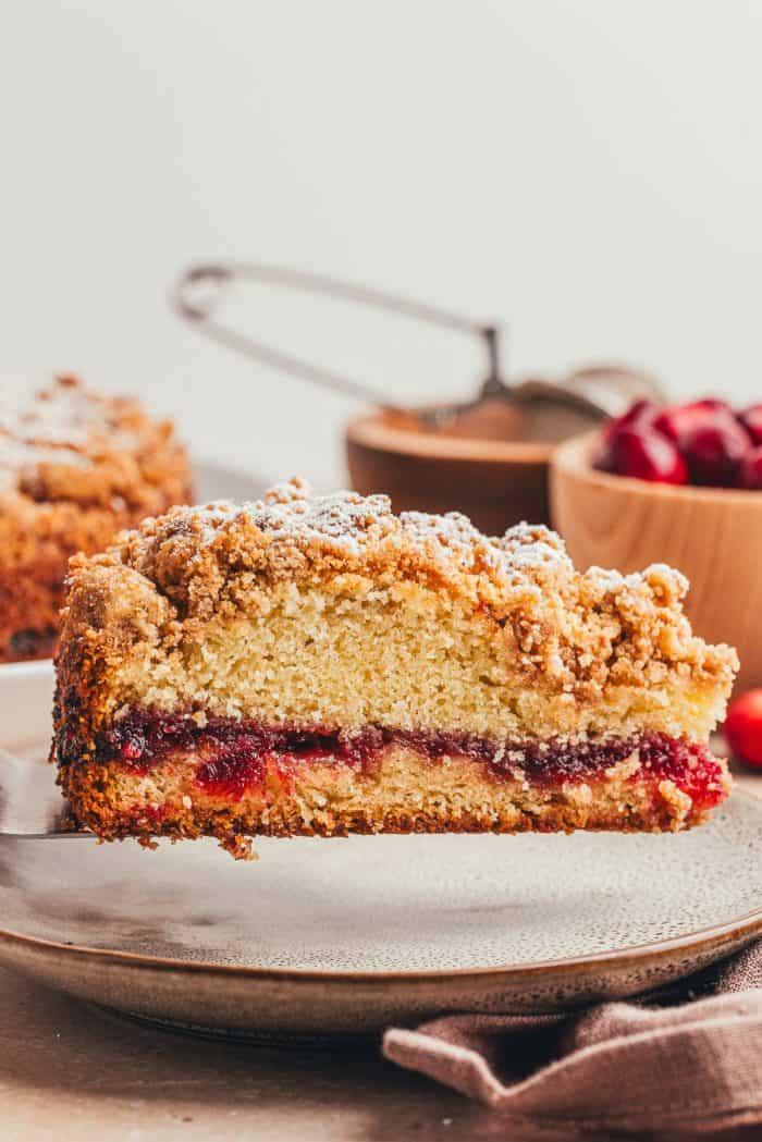 A plate with a slice of cranberry coffee cake.