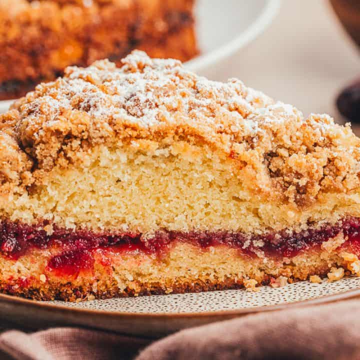 A plate with a slice of cranberry coffee cake.