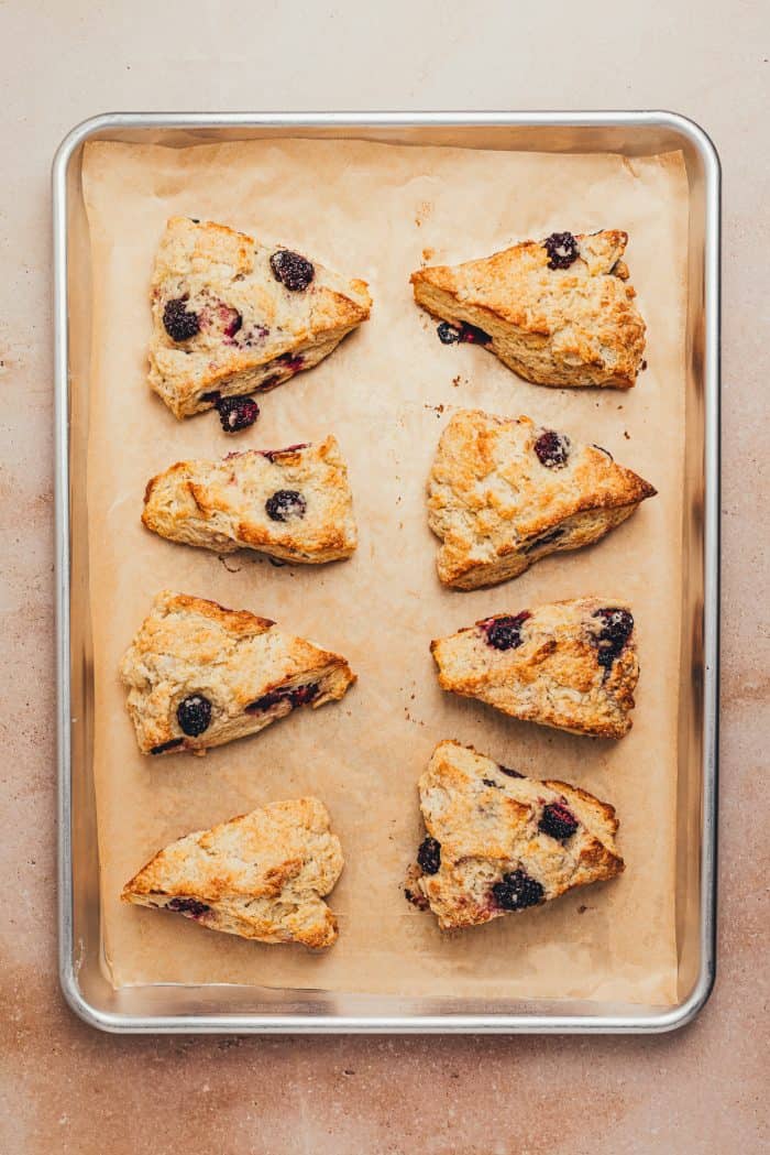 Baked blackberry buttermilk scones on a baking tray with parchment paper.