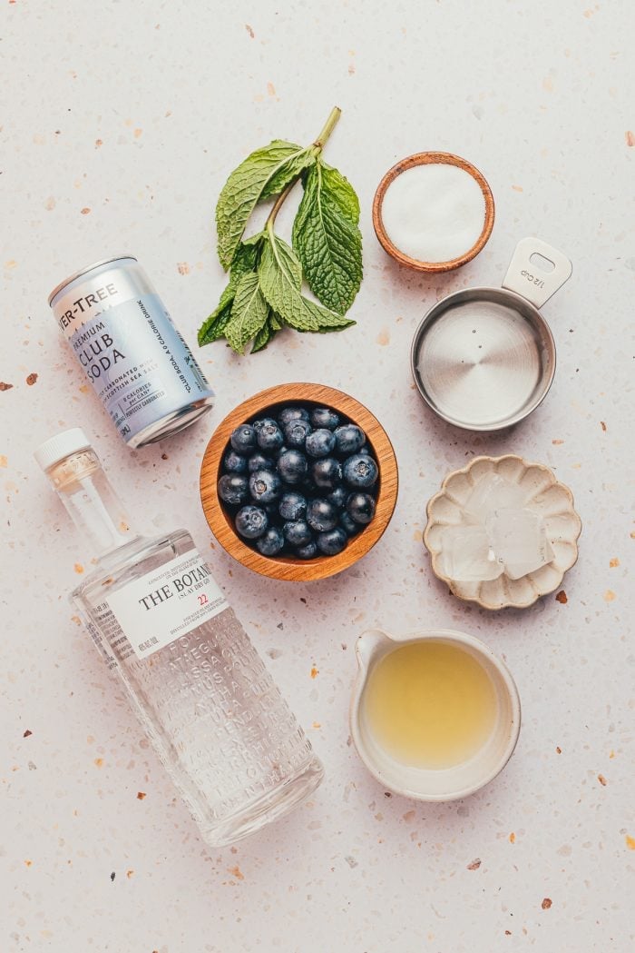 The ingredients used to make a blueberry gin fizz.