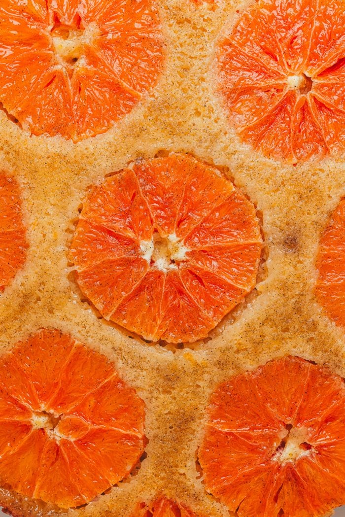 A closeup image the orange upside down cake showing the sliced oranges.