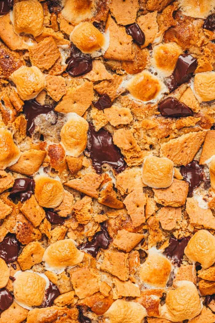 A close up of the top of the S'mores Blondies.