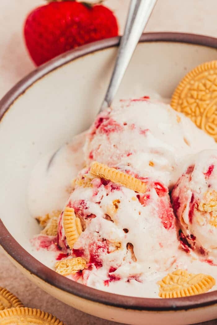 A bowl of homemade ice cream with a spoon. 