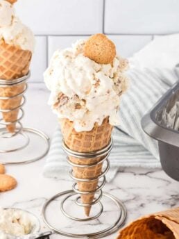 No-Churn Snickerdoodle Ice Cream