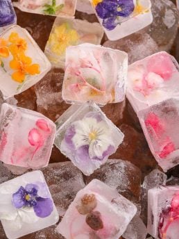 Edible Flower Ice Cubes