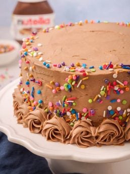 Vanilla bean cake with Nutella frosting.