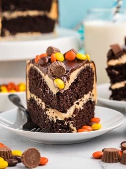 Chocolate Peanut Butter Cake